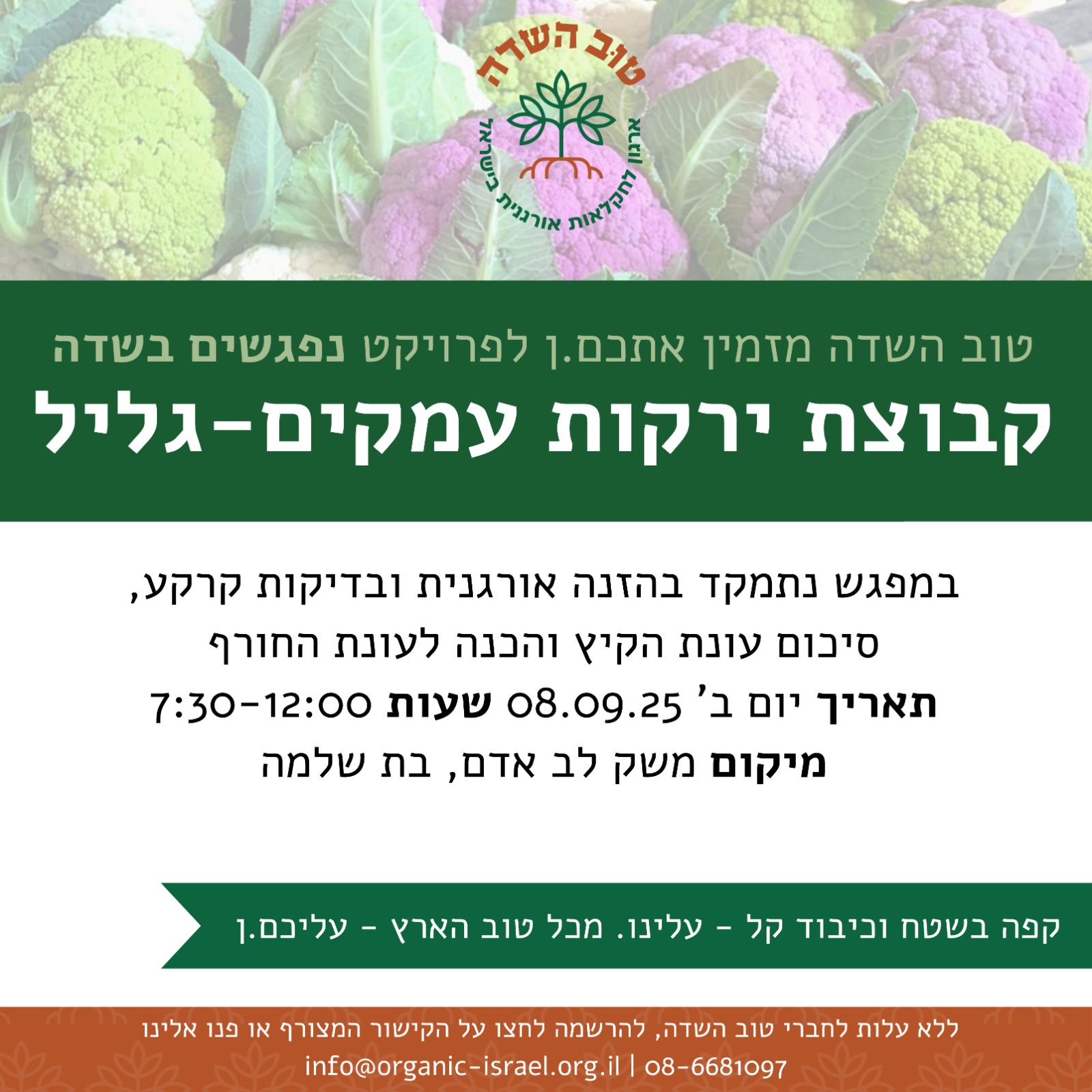 ירקות עמקים גליל