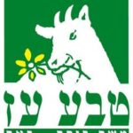 דרור בוקר