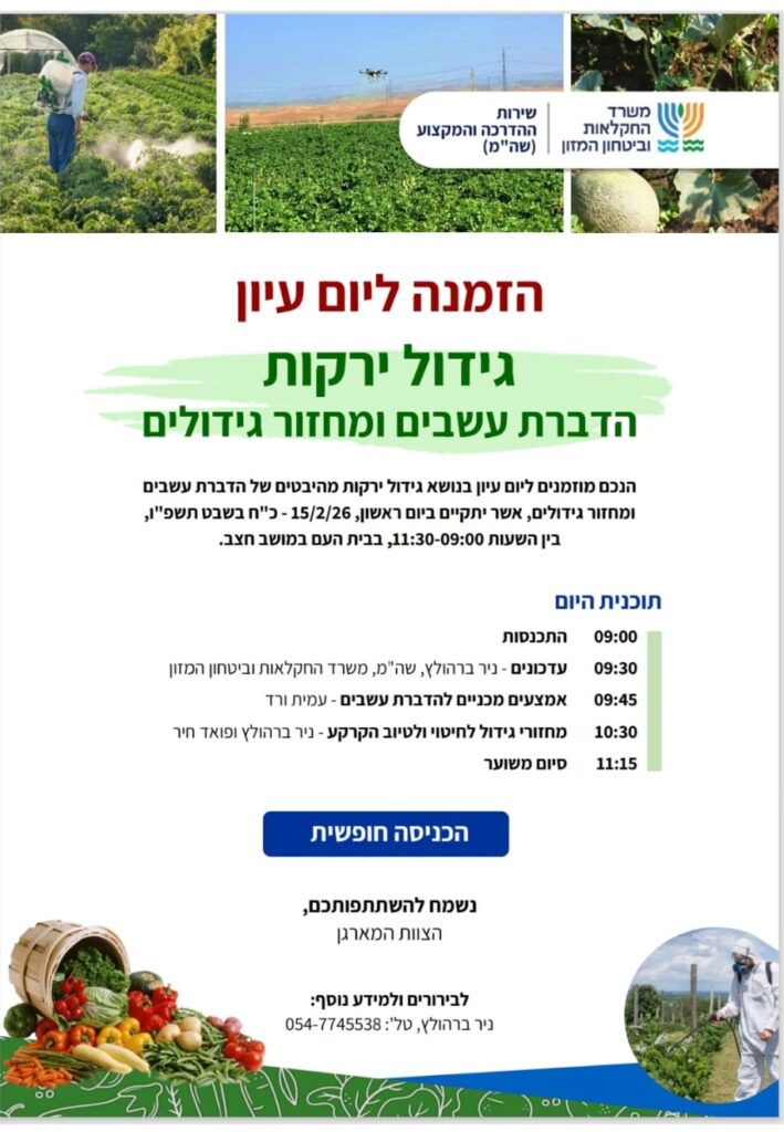 גידול ירקות