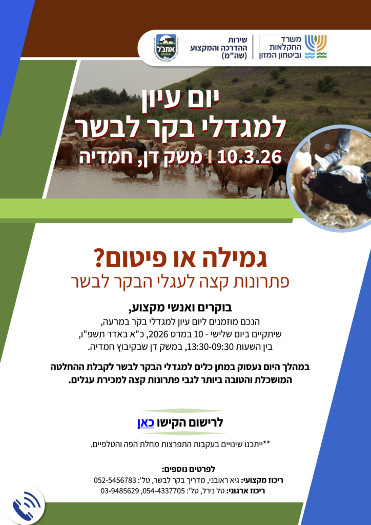 מגדלי בקר לבשר