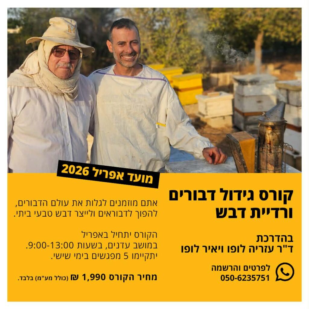 גידול דבורים ורדיית דבש