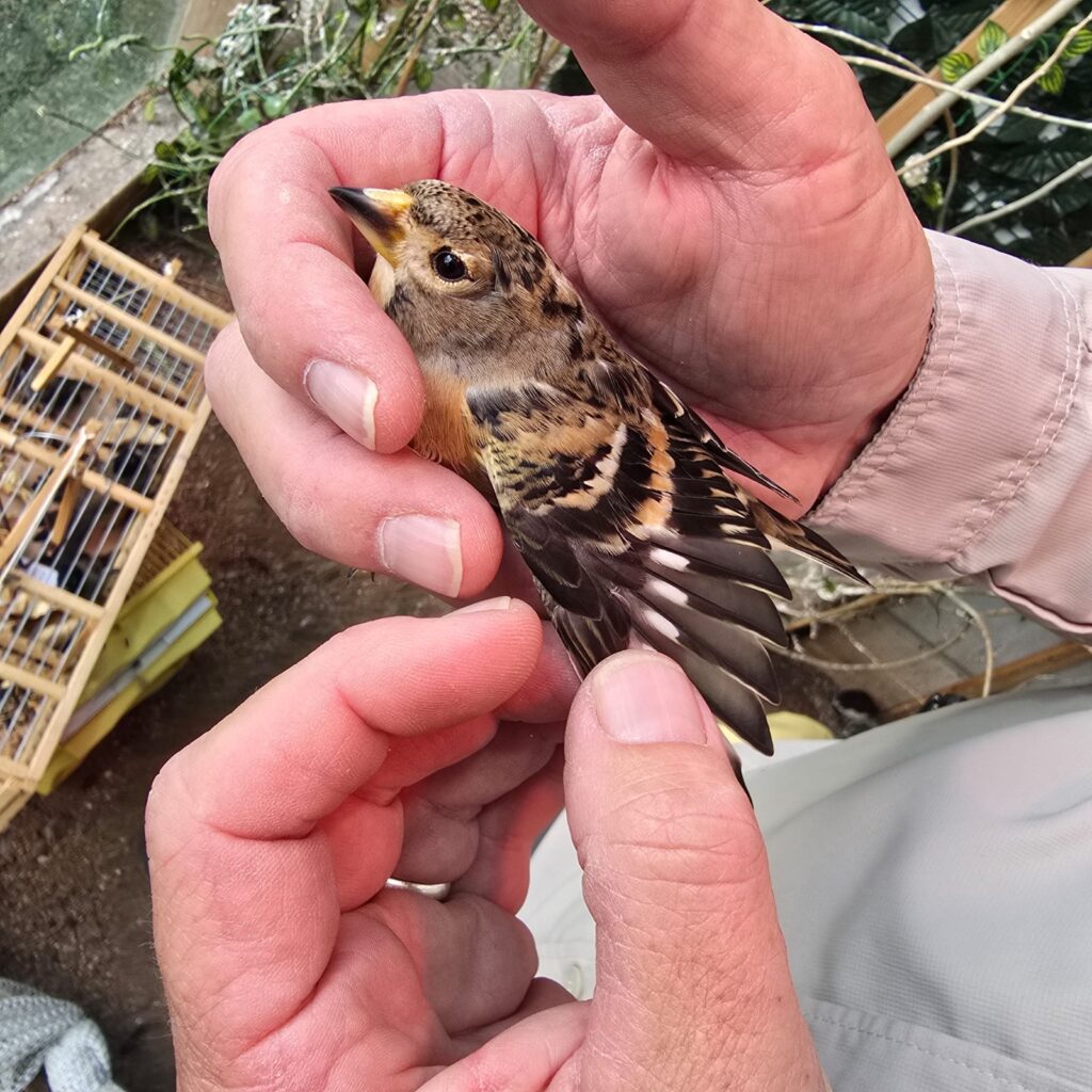 בזכות דיווח שהתקבל במוקד העירוני