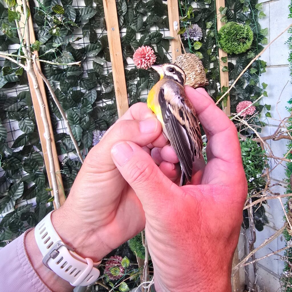 בזכות דיווח שהתקבל במוקד העירוני