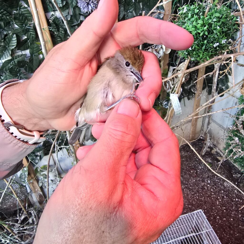 בזכות דיווח שהתקבל במוקד העירוני