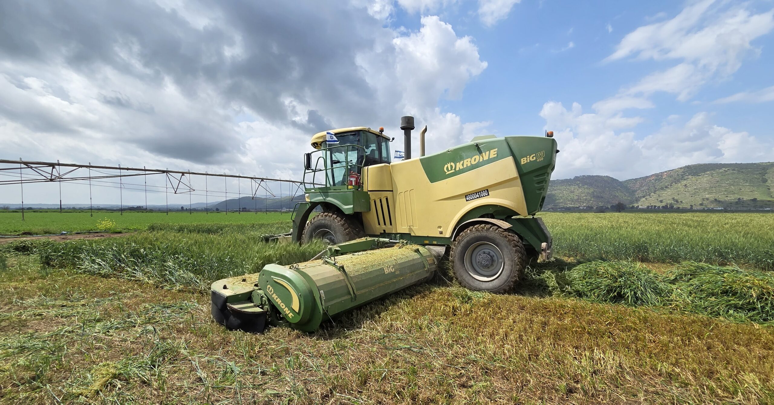 קציר חיטה לתחמיץ בשדות עמק החולה - צילום פייסל הייב, ג''ג, החברה לפיתוח הגליל