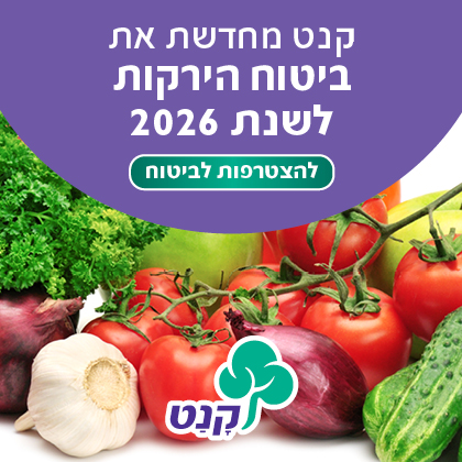 באנר חדשים – קנט