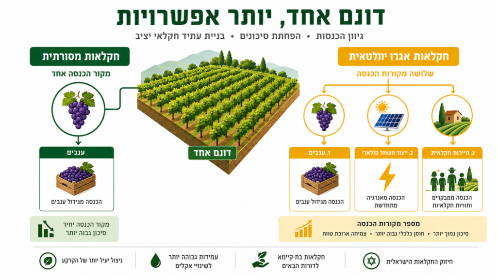 האם אגרו-וולטאי באמת משתלם?