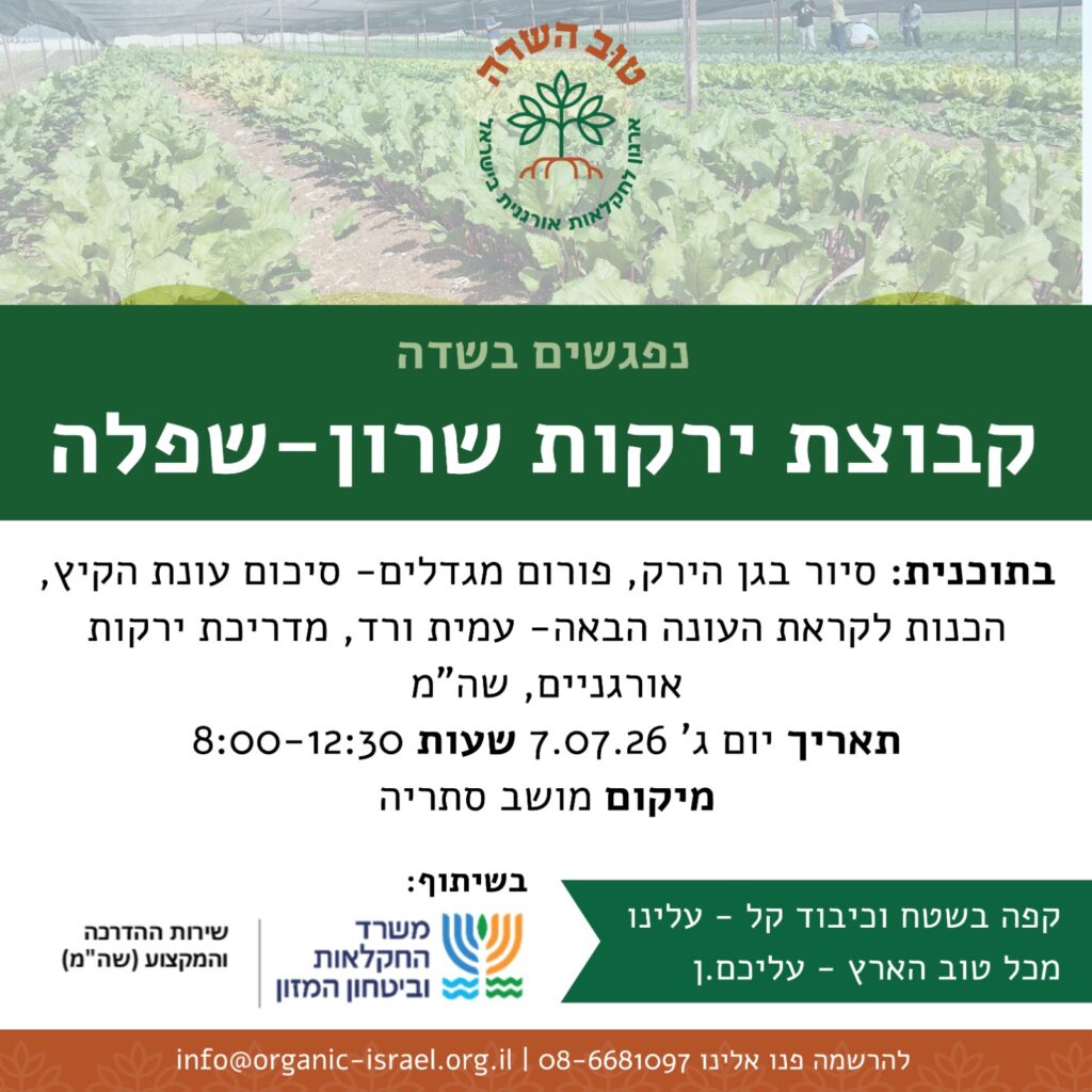 קבוצת ירקות שרון - שפלה