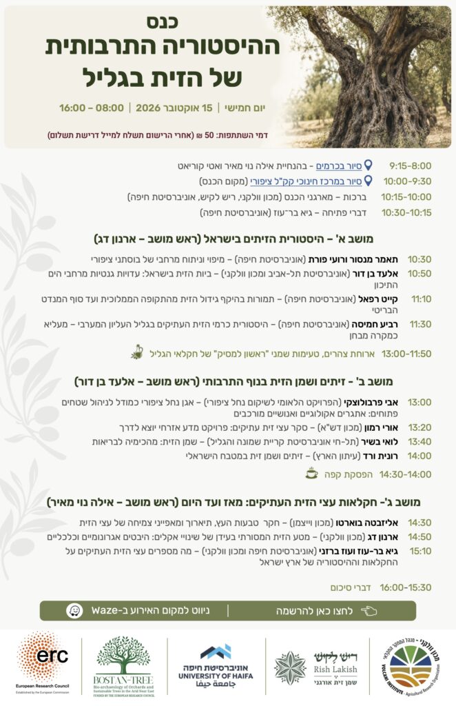 ההיסטוריה התרבותית של הזית בגליל