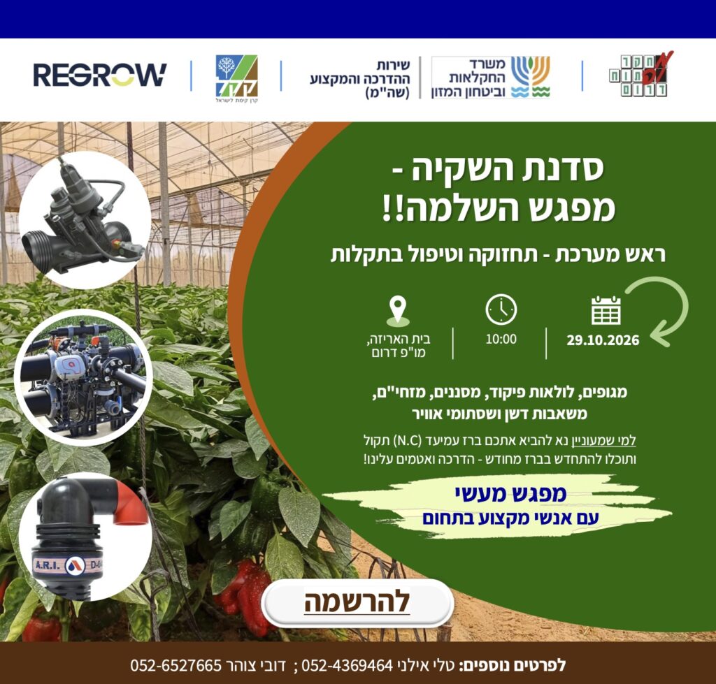 סדנת השקיה – מפגש השלמה
